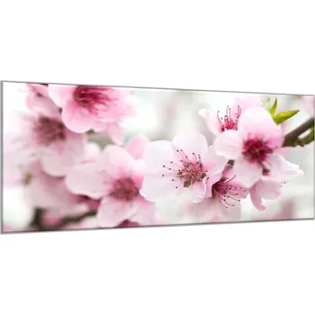 Obraz Glasdekor Obraz skleněný rozkvetlé růžové květy na větvi Rozměry-obdélník V/Š: 30 x 60 cm