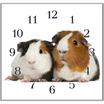 Hodiny Glasdekor Nástěnné hodiny 30x30cm dvě morčata Materiál: plexi