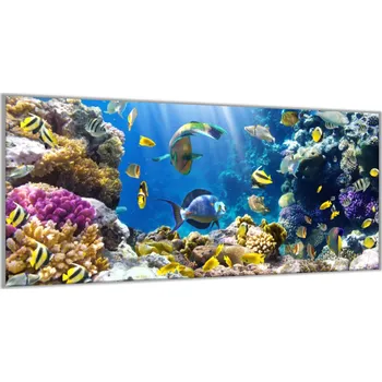 Obraz Glasdekor Obraz skleněný mořský svět pod hladinou Rozměry-obdélník V/Š: 30 x 60 cm