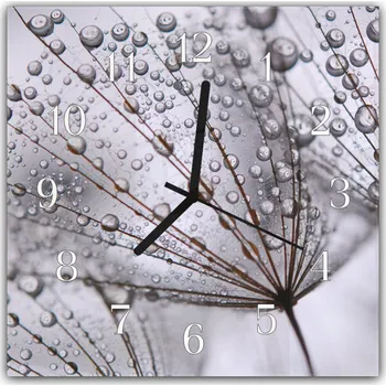 Hodiny Glasdekor Nástěnné hodiny 30x30cm kapky vody na odkvetlé pampelišce šedé pozadí Materiál: plexi