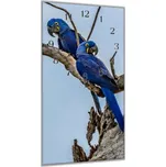 Glasdekor Nástěnné hodiny 30x60cm ara hyacintová na větvi Materiál: plexi