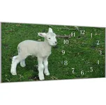 Glasdekor Nástěnné hodiny 30x60cm jehně na trávě Materiál: plexi