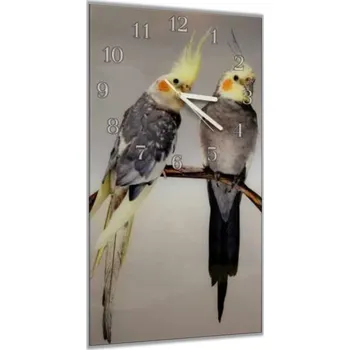Hodiny Glasdekor Nástěnné hodiny 30x60cm papoušek korela chocholatá Materiál: plexi
