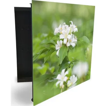 Skříňka na klíč Glasdekor skříňka na klíče - bílé květy jasmínu Otevírání: Levé, Barva skříňky: Bílá