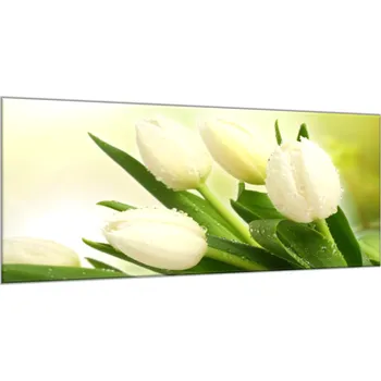 Obraz Glasdekor Obraz skleněný květy bílé tulipány na zeleném pozadí Rozměry-obdélník V/Š: 30 x 40 cm