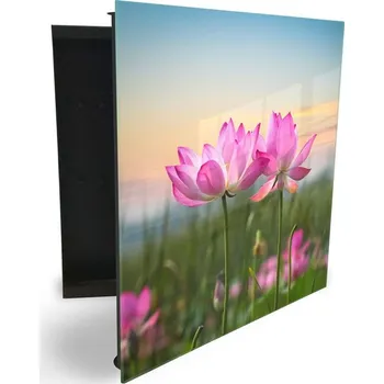 Skříňka na klíč Glasdekor skříňka na klíče - růžové květy na louce Otevírání: Pravé, Barva skříňky: Černá