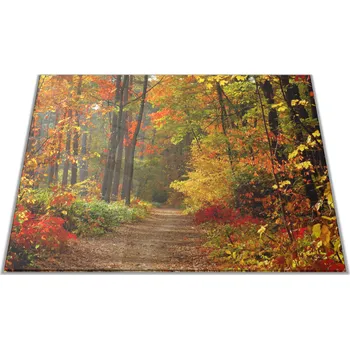 Kuchyňské prkénko Glasdekor Skleněné prkénko podzimní les s pěšinou Prkénko: 30x20cm