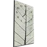 Glasdekor Nástěnné hodiny 30x60cm abstraktní detail listu Materiál: kalené sklo