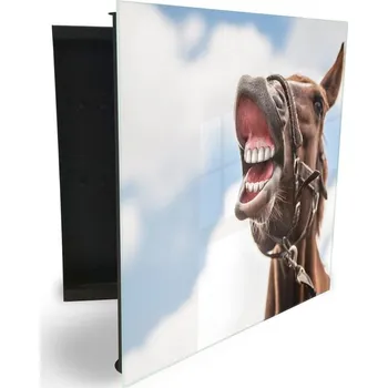 Skříňka na klíč Glasdekor skříňka na klíče - vtipný kůň Otevírání: Levé, Barva skříňky: Bílá