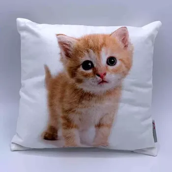 Dekorativní polštářek Polštář s výplní Kotě 24x24 cm, 2.jakost