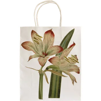 Dárková taška Dárková papírová taška Amaryllis
