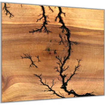 Obklad Glasdekor Sklo do kuchyně ornament řez dřevo hruška Rozměry skla do kuchyně: 55 x 55 cm