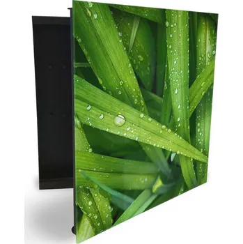 Skříňka na klíč Glasdekor skříňka na klíče - detail trávy s rosou Otevírání: Levé, Barva skříňky: Bílá