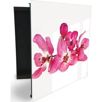 Skříňka na klíč Glasdekor skříňka na klíče - růžový květ sakura Otevírání: Levé, Barva skříňky: Bílá