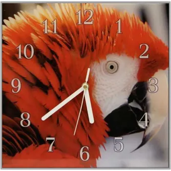 Hodiny Glasdekor Nástěnné hodiny 30x30cm papoušek ara arakanga Materiál: plexi