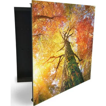 Skříňka na klíč Glasdekor skříňka na klíče - koruna stromu podzim Otevírání: Pravé, Barva skříňky: Černá