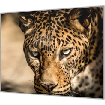 Kuchyňské prkénko Glasdekor Ochranná deska do kuchyně šelma leopard Rozměr V/Š: 50x70 cm, Lepení na zeď: Bez lepení na zeď