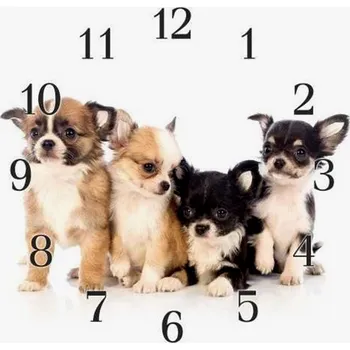 Hodiny Glasdekor Nástěnné hodiny 30x30cm malý pes čivava Materiál: plexi