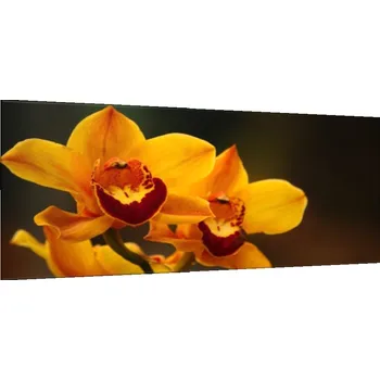 Obraz Glasdekor Obraz skleněný oranžový květ orchideje na hnědém pozadí Rozměry-obdélník V/Š: 30 x 60 cm