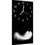 Glasdekor Nástěnné hodiny 30x60cm bílé peří na černé pozadí Materiál: kalené sklo
