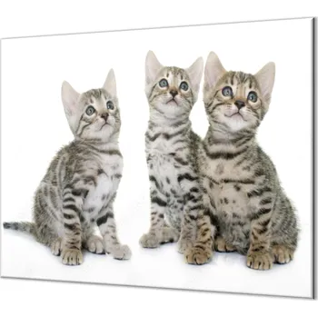 Příslušenství pro sporák Glasdekor Ochranná deska tři malé kočky bengalské Rozměr V/Š: 2x 52x30 cm, Lepení na zeď: S lepením na zeď
