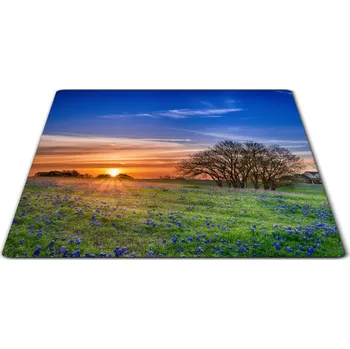 Kuchyňské prkénko Glasdekor Skleněné prkénko jarní louka při východu slunce Prkénko: 30x20cm