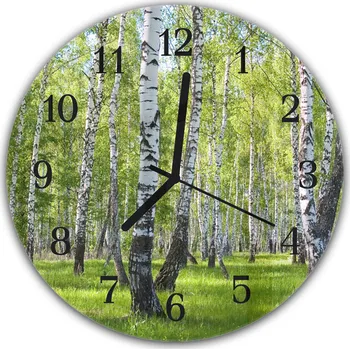 Hodiny Glasdekor Nástěnné hodiny kulaté pr.30cm břízový les Materiál: plexi