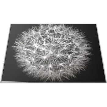 Kuchyňské prkénko Glasdekor Skleněné prkénko černo bílá pampeliška Prkénko: 30x20cm