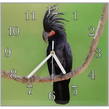 Hodiny Glasdekor Nástěnné hodiny 30x30cm papoušek kakadu palmový Materiál: plexi