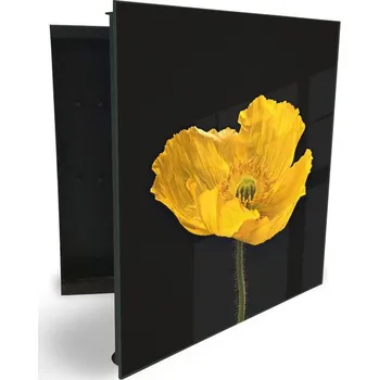 Skříňka na klíč Glasdekor skříňka na klíče - květ žlutý tulipán Otevírání: Levé, Barva skříňky: Bílá