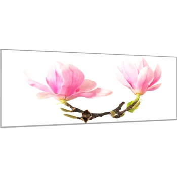 Obraz Glasdekor Obraz skleněný květy dvě magnolie na větvi Rozměry-obdélník V/Š: 30 x 60 cm