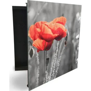 Skříňka na klíč Glasdekor skříňka na klíče - detail červený vlčí mák Otevírání: Levé, Barva skříňky: Bílá