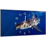 Glasdekor Nástěnné hodiny 30x60cm žralok pod hladinou Materiál: plexi