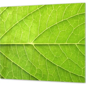 Glasdekor Ochranná deska detail zelený list Rozměr V/Š: 60x70 cm, Lepení na zeď: S lepením na zeď