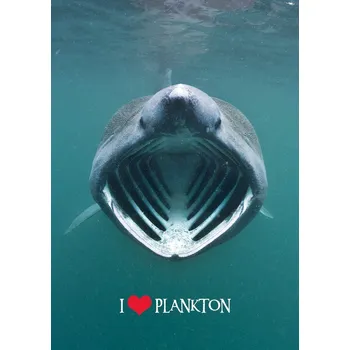 Výtvárné potřeby Pohlednice 3D Miluj plankton