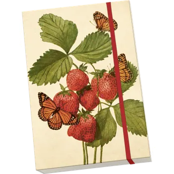 Blok Notýsek Strawberry & Butterfly