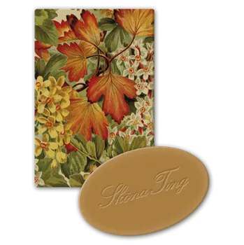 Mýdlo Dárkové mýdlo Autumn Plants 25 g