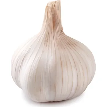 Česnek bílý, cca 60g