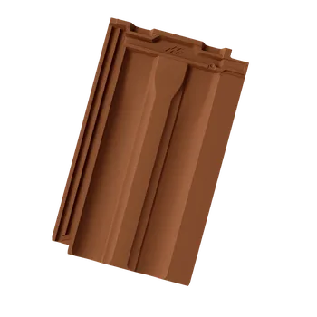 Mladost - Tradicional PRO10 MAT - základní, hnědá