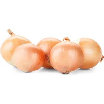 Cibule žlutá Gourmet 500g