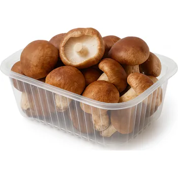 Holoubek & pravnuci s.r.o. Shiitake čerstvá, vanička 200g