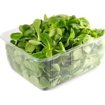 Salát Polníček, vanička 125g