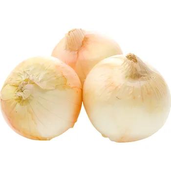 Cibule sladká Gourmet 500g