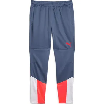 Pánské kalhoty Kalhoty Puma individualCUP Training Pants 658487-53 Velikost L
