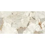 DLAŽBA REGIANO GREY POLISHED 60X120