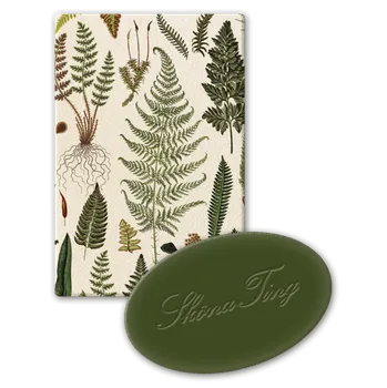 Mýdlo Dárkové mýdlo Ferns 25 g