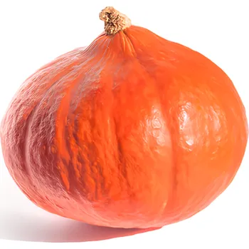 Dýně Hokkaido 0.94 kg