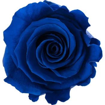Sára LIGHT Dark blue - tmavě modrá (Aranž 1x stabilizovaná "věčná" růže v betonovém květináčku)
