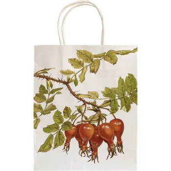 Dárková taška Dárková papírová taška Rosehip