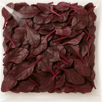 Metro Chef Salát listy býčí krev 125g